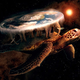 Illustration for article titled O-Deck RPG: Discworld